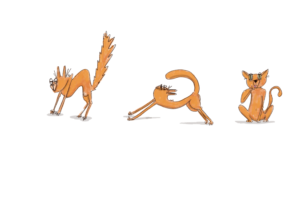 Cat making funny stretched poses